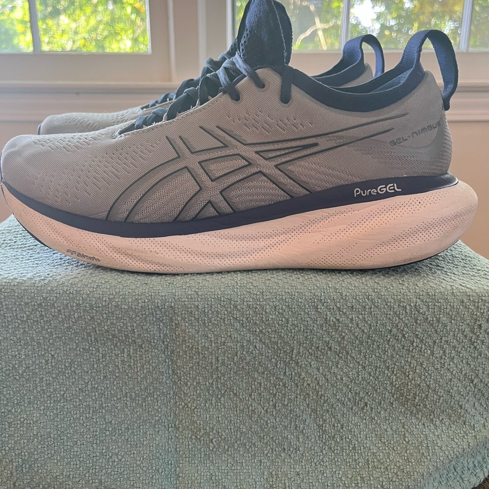 ASICS Men's Nimbus 25 Running Shoes - Gray and Navy
